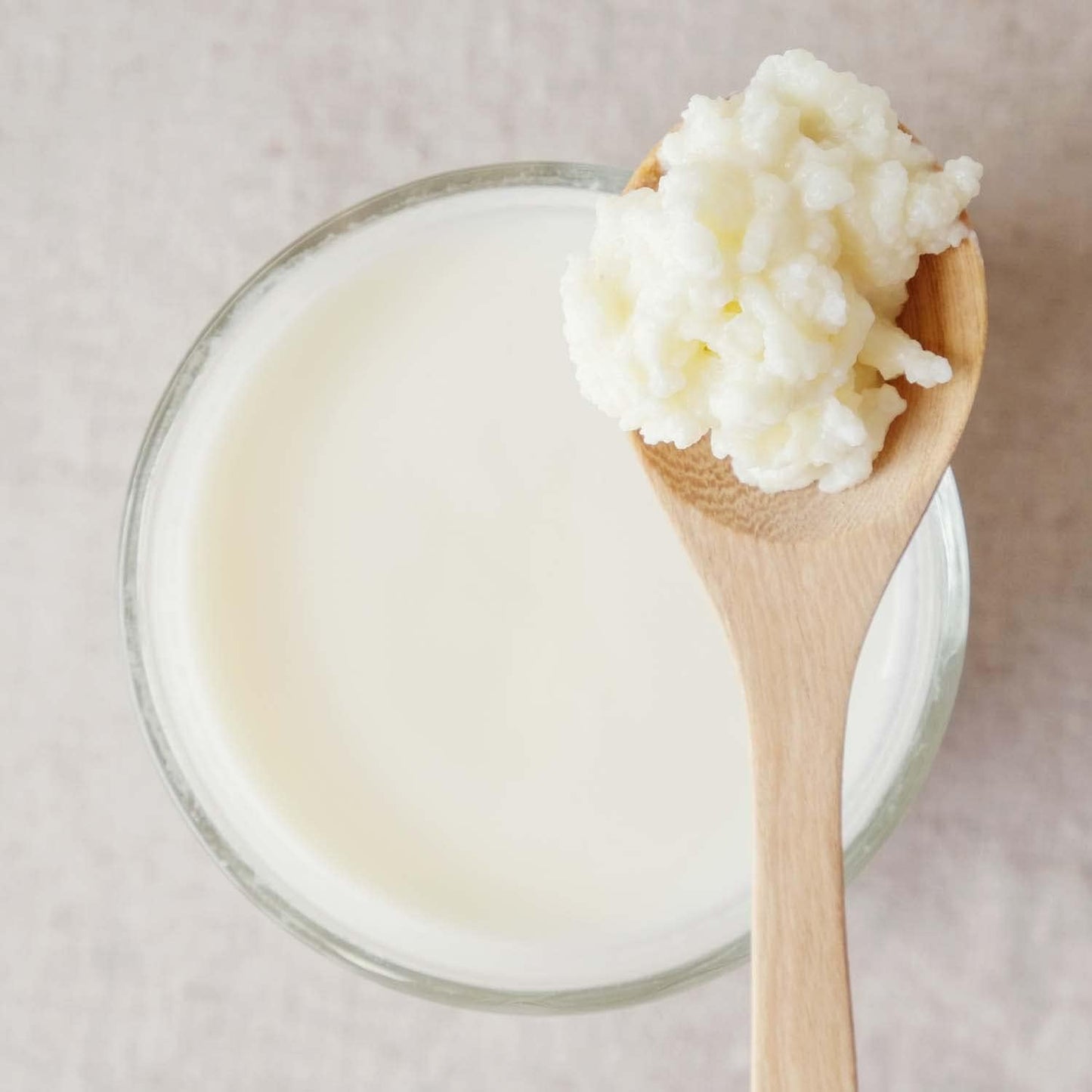 Cultures For Health Milk Kefir Grains