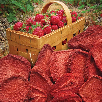 Brothers-ALL-Natural Freeze Dried Strawberry Pouch, 1 Oz